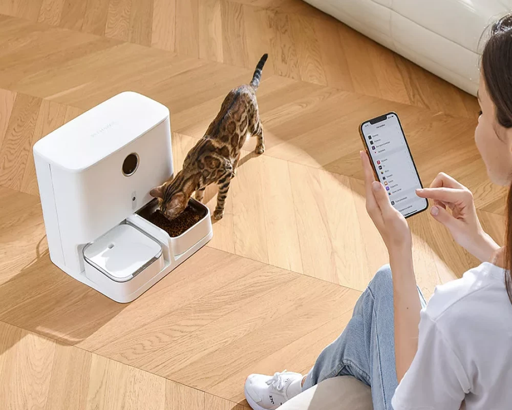 automatic pet food dispenser