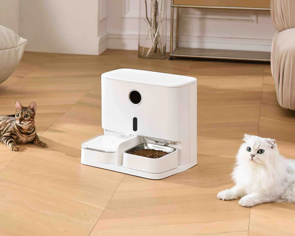 pet automatic feeder