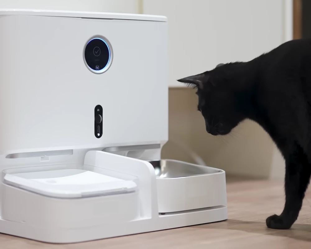 pet automatic feeder